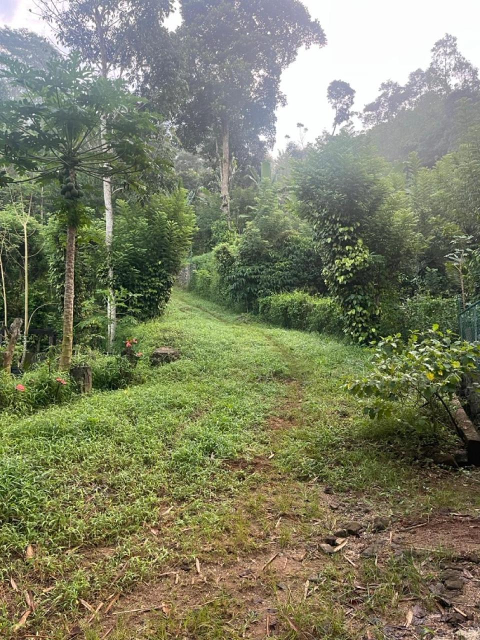 桑莎苏瓦雅山林小屋 康提 外观 照片