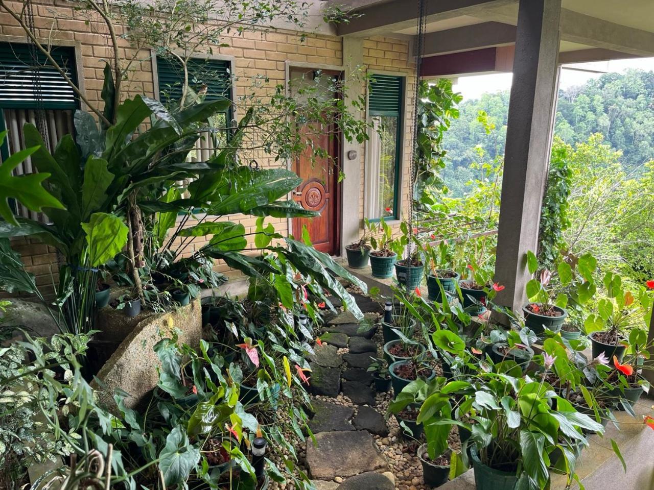桑莎苏瓦雅山林小屋 康提 外观 照片